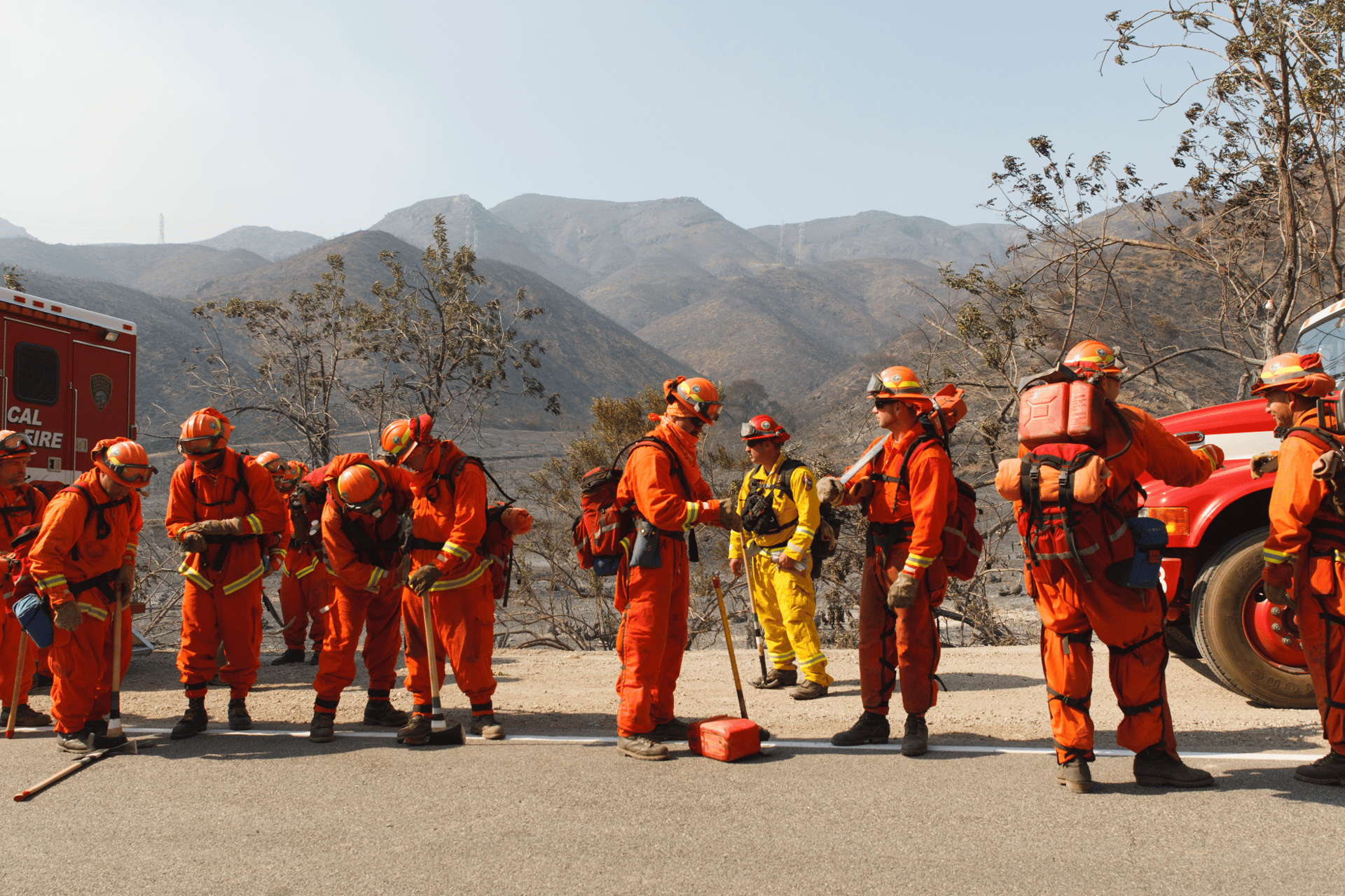 Wildlands Fabrics | Flame resistant Fire Service fabrics